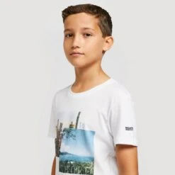 Regatta Bosley III T-shirt -Outdoor Clothing Sale go 516711 d